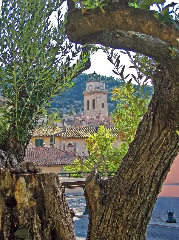Monte Escalier 13 Fabricant monte escalier Ceyreste